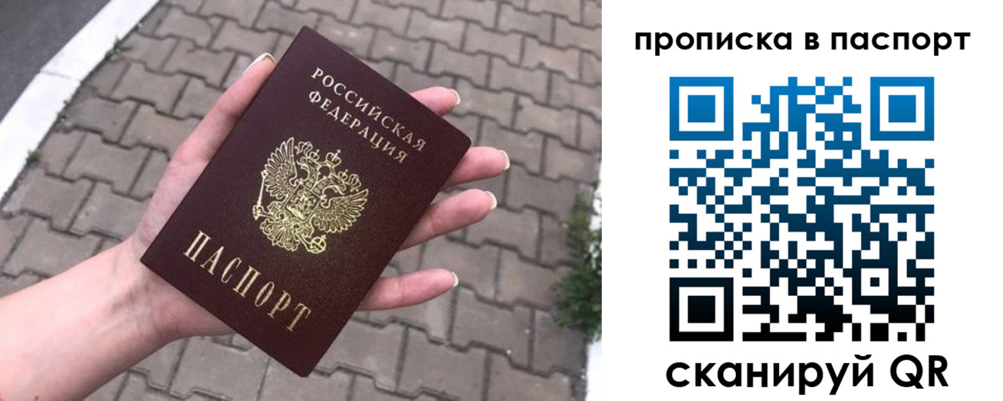 прописка поиск в Данкове